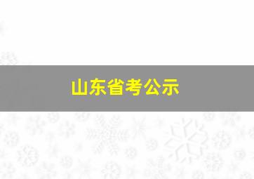 山东省考公示