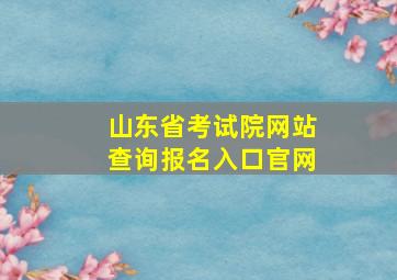 山东省考试院网站查询报名入口官网