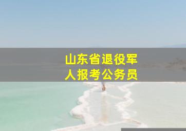 山东省退役军人报考公务员