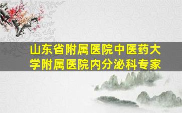 山东省附属医院中医药大学附属医院内分泌科专家