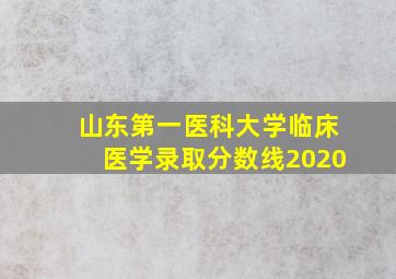 山东第一医科大学临床医学录取分数线2020