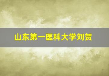 山东第一医科大学刘贺