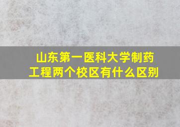 山东第一医科大学制药工程两个校区有什么区别