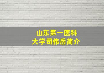 山东第一医科大学司伟岳简介