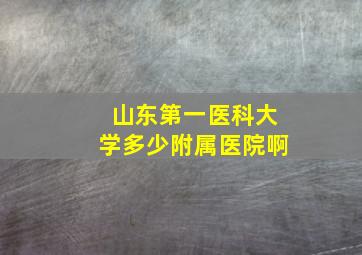 山东第一医科大学多少附属医院啊