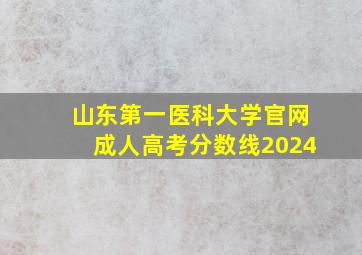 山东第一医科大学官网成人高考分数线2024