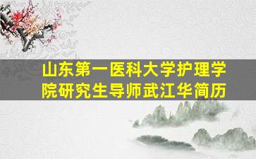 山东第一医科大学护理学院研究生导师武江华简历