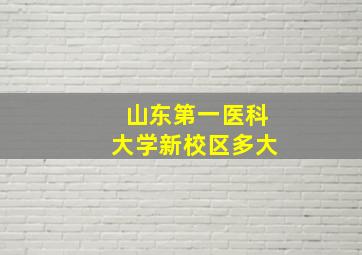 山东第一医科大学新校区多大