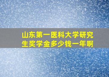 山东第一医科大学研究生奖学金多少钱一年啊