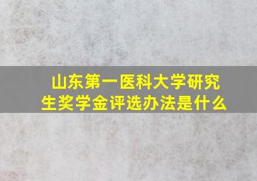 山东第一医科大学研究生奖学金评选办法是什么