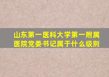 山东第一医科大学第一附属医院党委书记属于什么级别