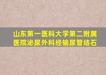 山东第一医科大学第二附属医院泌尿外科经输尿管结石