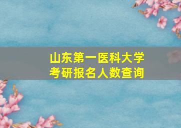 山东第一医科大学考研报名人数查询