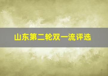 山东第二轮双一流评选