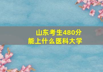 山东考生480分能上什么医科大学