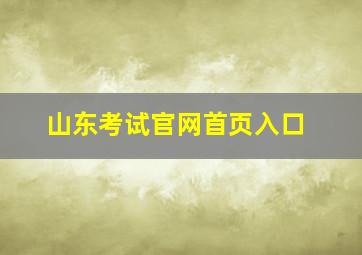 山东考试官网首页入口