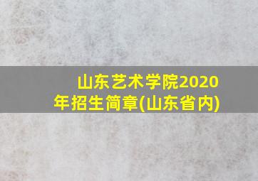 山东艺术学院2020年招生简章(山东省内)