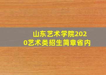 山东艺术学院2020艺术类招生简章省内