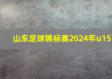 山东足球锦标赛2024年u15