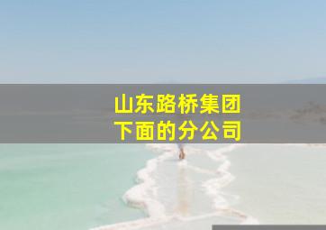 山东路桥集团下面的分公司