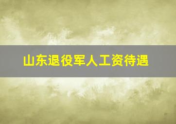 山东退役军人工资待遇