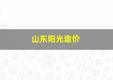 山东阳光造价