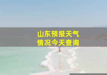 山东预报天气情况今天查询