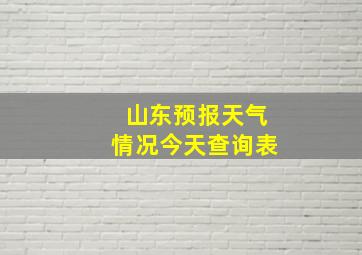 山东预报天气情况今天查询表