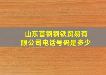 山东首钢钢铁贸易有限公司电话号码是多少