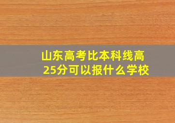 山东高考比本科线高25分可以报什么学校