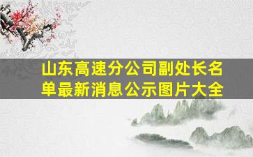 山东高速分公司副处长名单最新消息公示图片大全