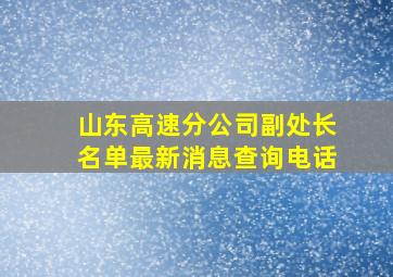 山东高速分公司副处长名单最新消息查询电话