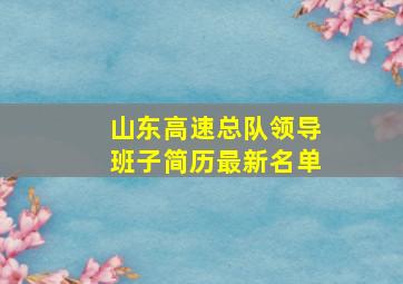 山东高速总队领导班子简历最新名单