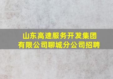 山东高速服务开发集团有限公司聊城分公司招聘