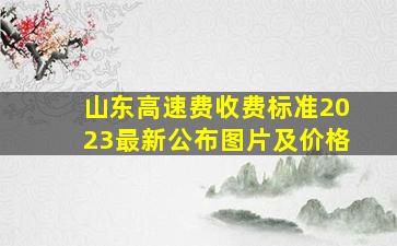 山东高速费收费标准2023最新公布图片及价格