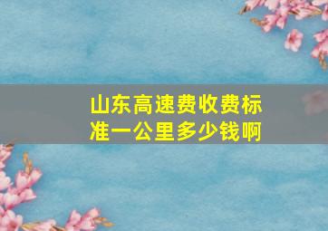 山东高速费收费标准一公里多少钱啊