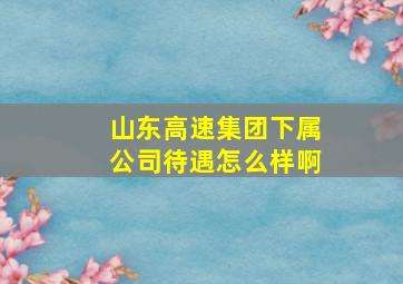 山东高速集团下属公司待遇怎么样啊