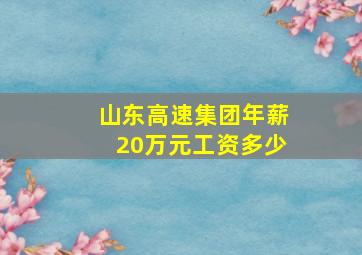 山东高速集团年薪20万元工资多少