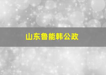 山东鲁能韩公政