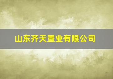 山东齐天置业有限公司