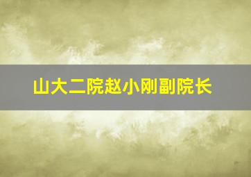 山大二院赵小刚副院长