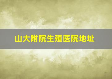 山大附院生殖医院地址