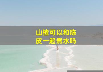 山楂可以和陈皮一起煮水吗