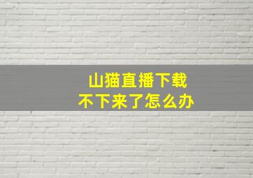 山猫直播下载不下来了怎么办