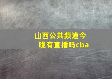 山西公共频道今晚有直播吗cba