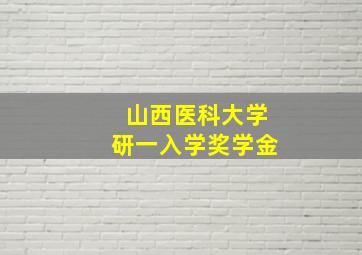 山西医科大学研一入学奖学金