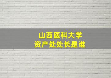 山西医科大学资产处处长是谁