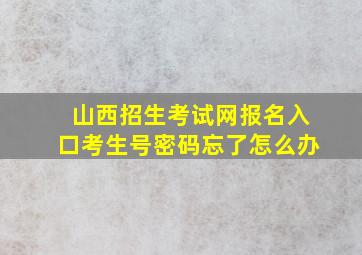 山西招生考试网报名入口考生号密码忘了怎么办