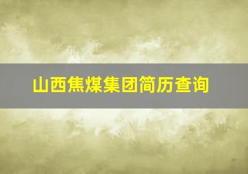 山西焦煤集团简历查询