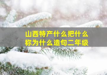 山西特产什么把什么称为什么造句二年级